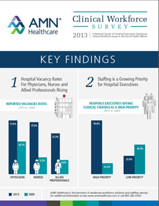 2013 Executive Survey Infographic