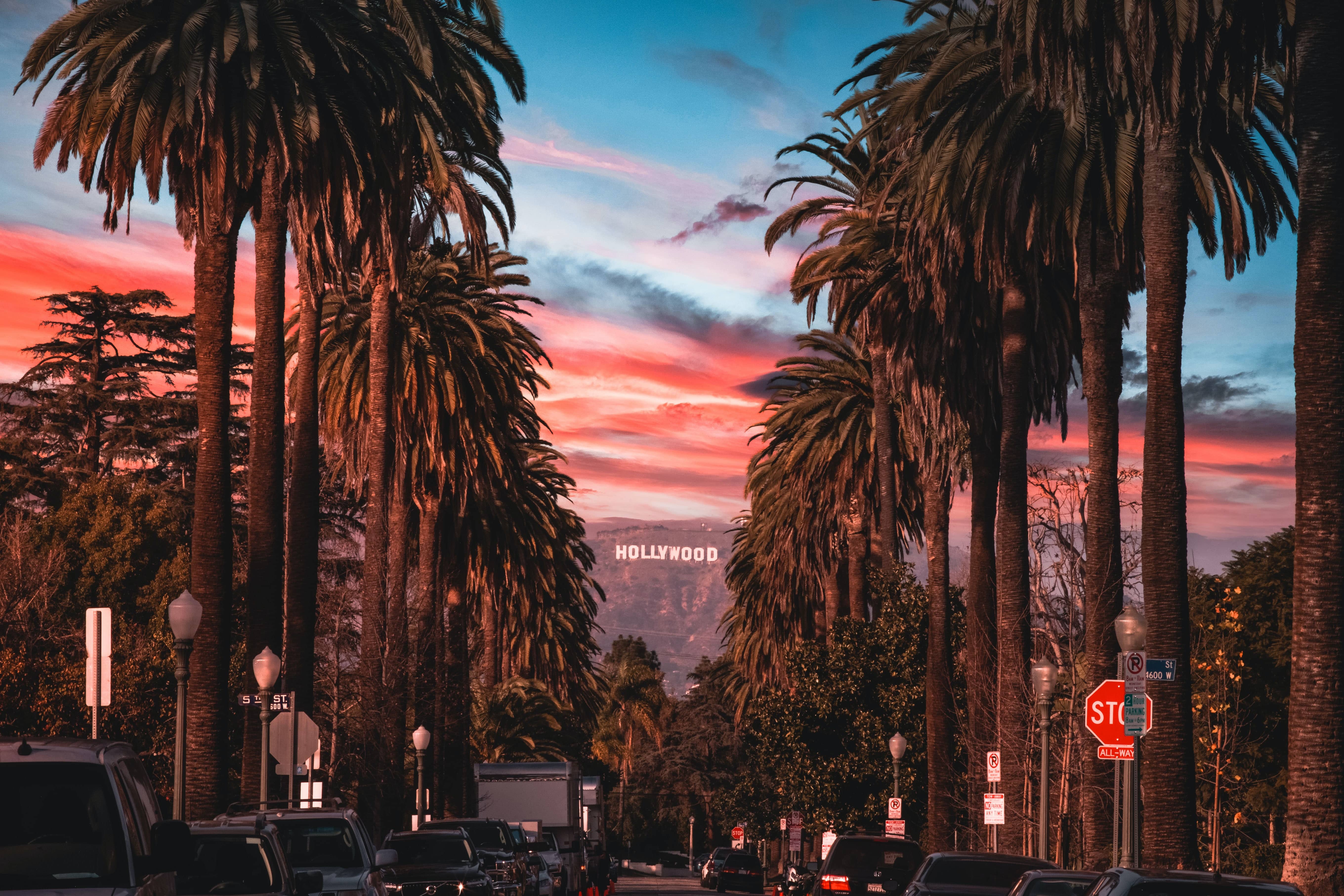 Southern California palm tree and sunset Southern California palm tree and sunset
