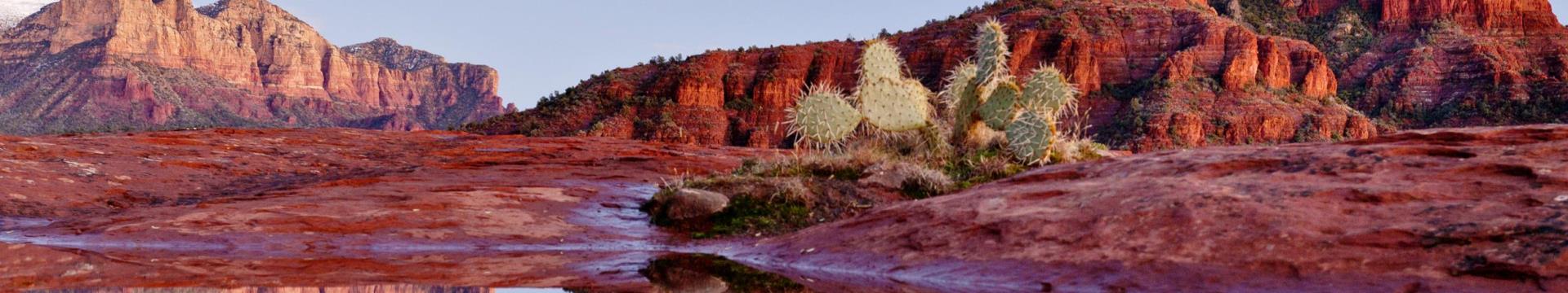 Arizona Desert Landscape