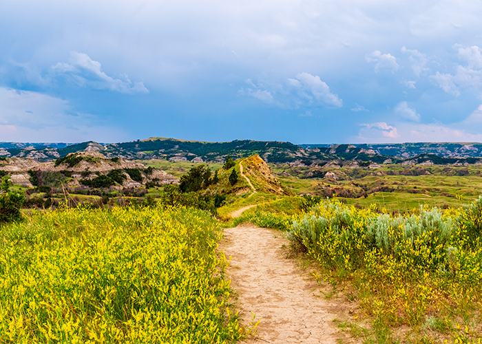 North Dakota SLP License and Travel Jobs