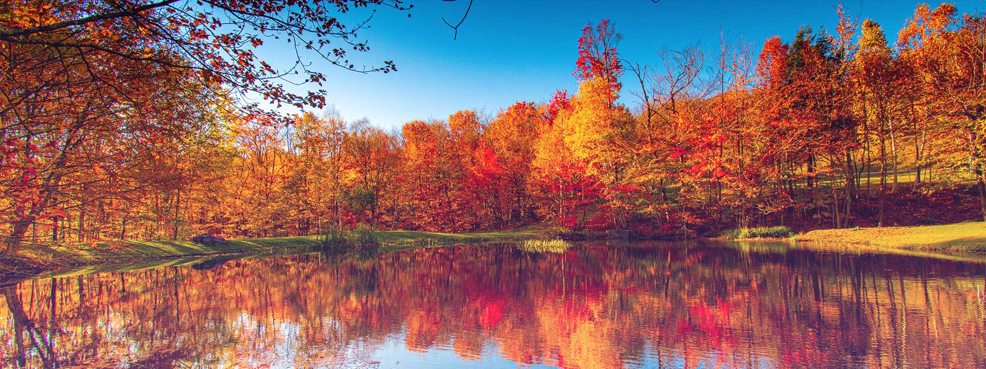 Lake surrounded by trees in Vermont 